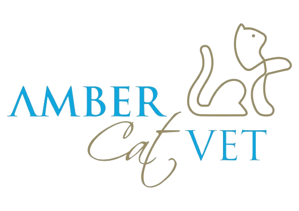 Amber Vet|Cat Clinic