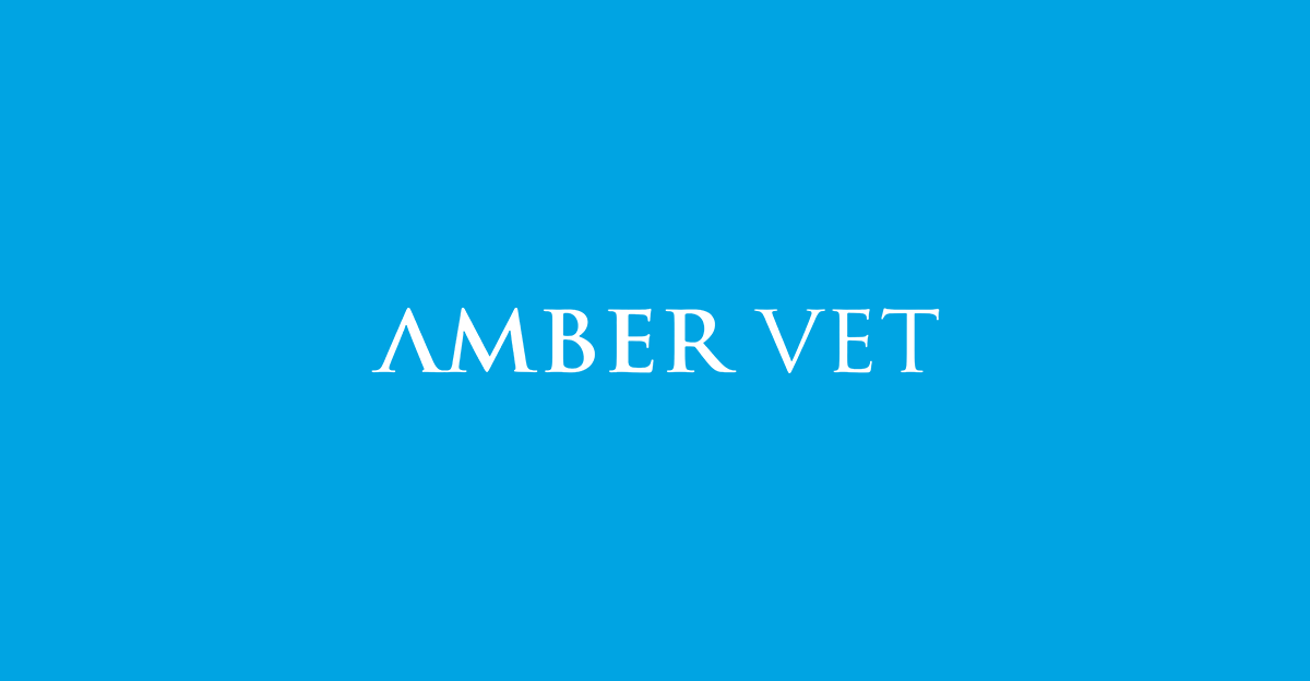 Amber Vet | What Should I Do If My Dog Ate Chocolate? (Vet Guide by Amber Vet Singapore) Amber Vet | What Should I Do If My Dog Ate Chocolate? (Vet Guide by Amber Vet Singapore)